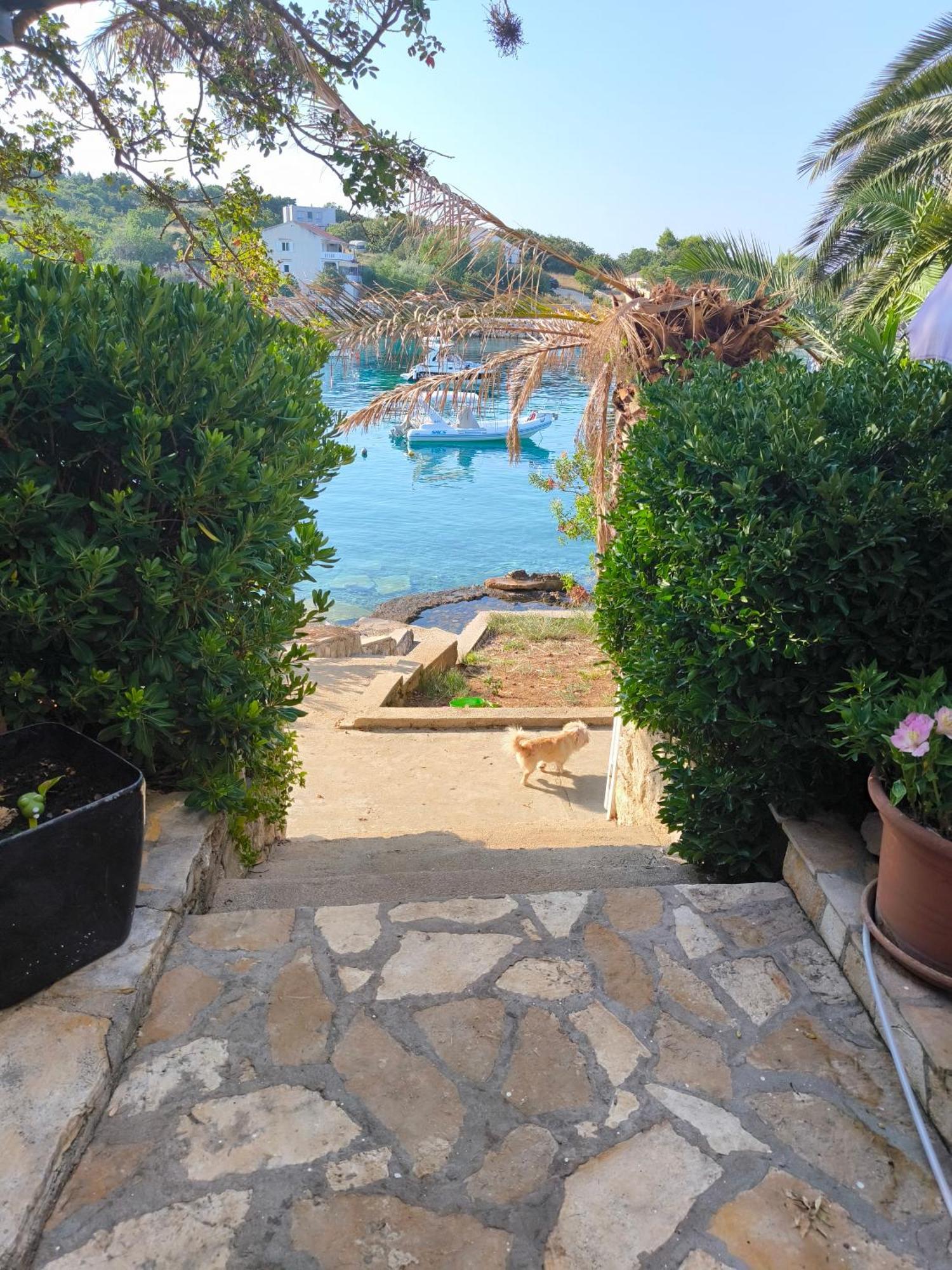 Apartments Anica Beber Borovići 외부 사진
