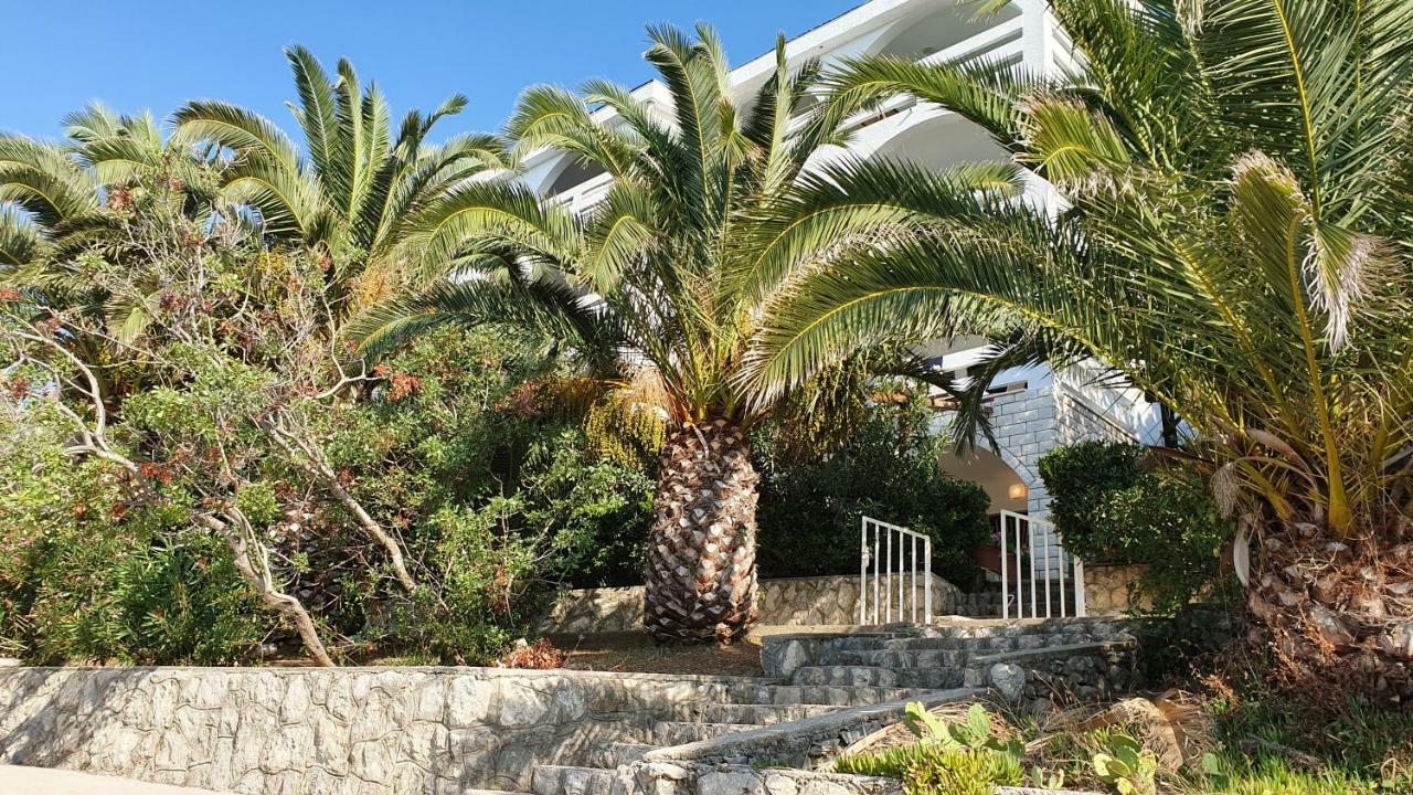 Apartments Anica Beber Borovići 외부 사진